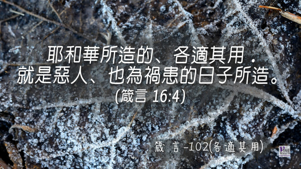 #379 箴言-102(各適其用)-第16章4節
