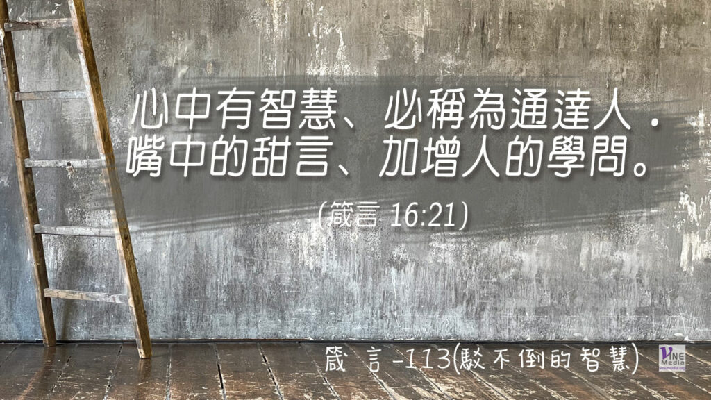 #390 箴言-113(駁不倒的智慧)-第16章21-23節