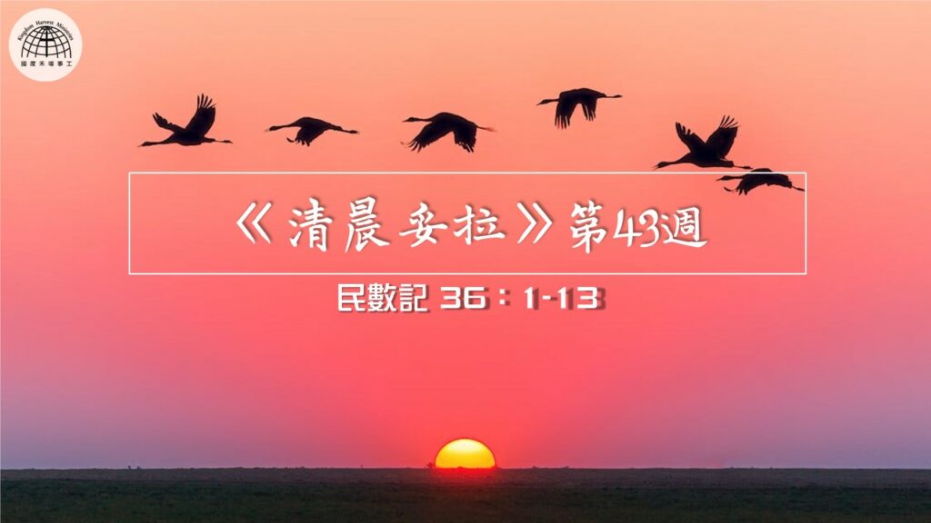 《清晨妥拉》第43週 (七) | 民數記 36：1-13