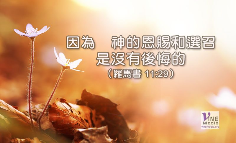 大衛帳幕祭壇 19 一月十九日 不後悔的選召 葡萄樹傳媒