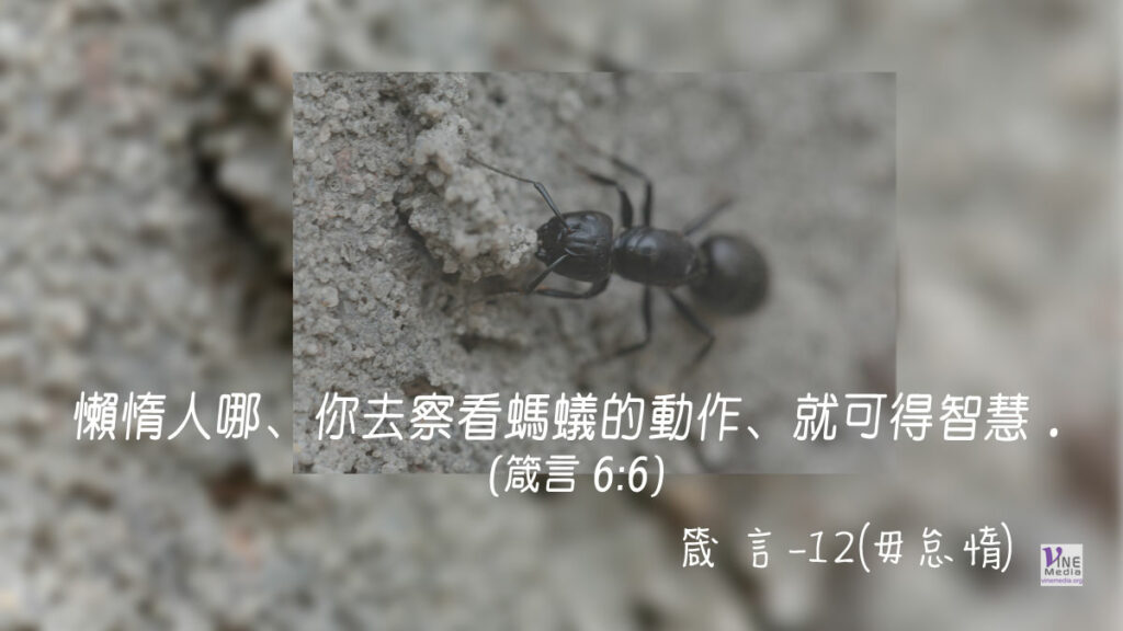 #289 十月十五日──箴言-12(毋怠惰)-第6章6-11節