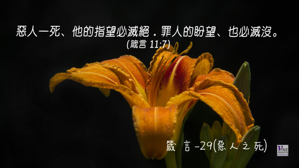 #306 十一月一日──箴言-29(惡人之死)-第11章7-8節