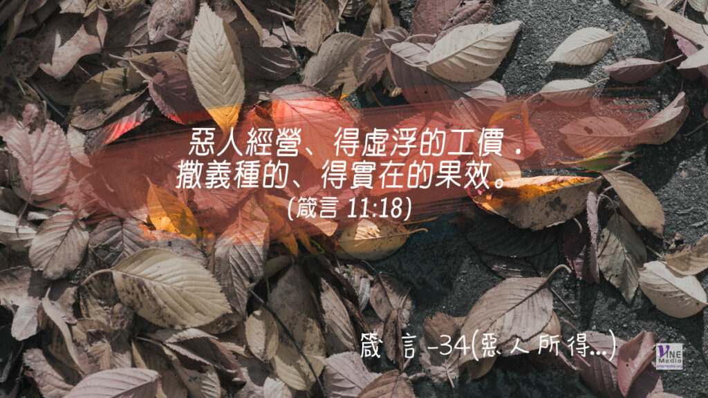 #311 十一月六日──箴言-34( 惡人所得⋯⋯)-第11章18-19節