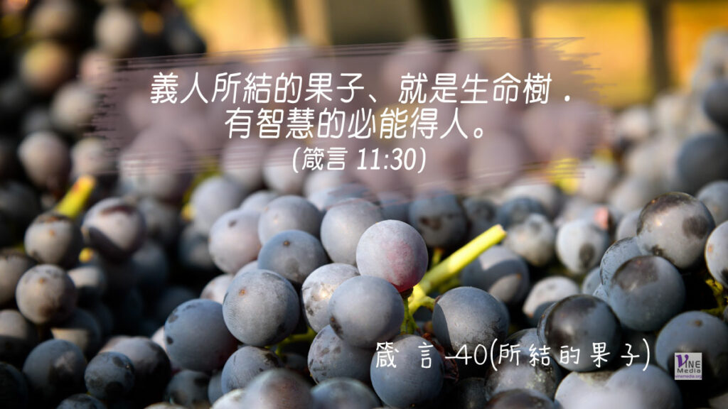 #317 十一月十二日──箴言-40(所結的果子)-第11章30-31節
