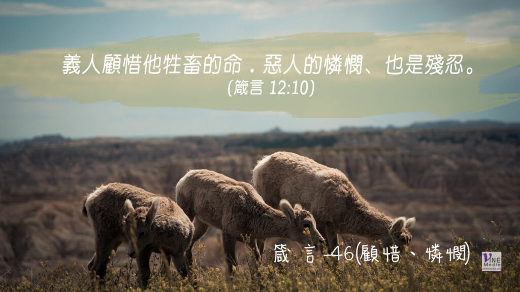 #323 十一月十八日──箴言-46(顧惜、憐憫)-第12章10-11節