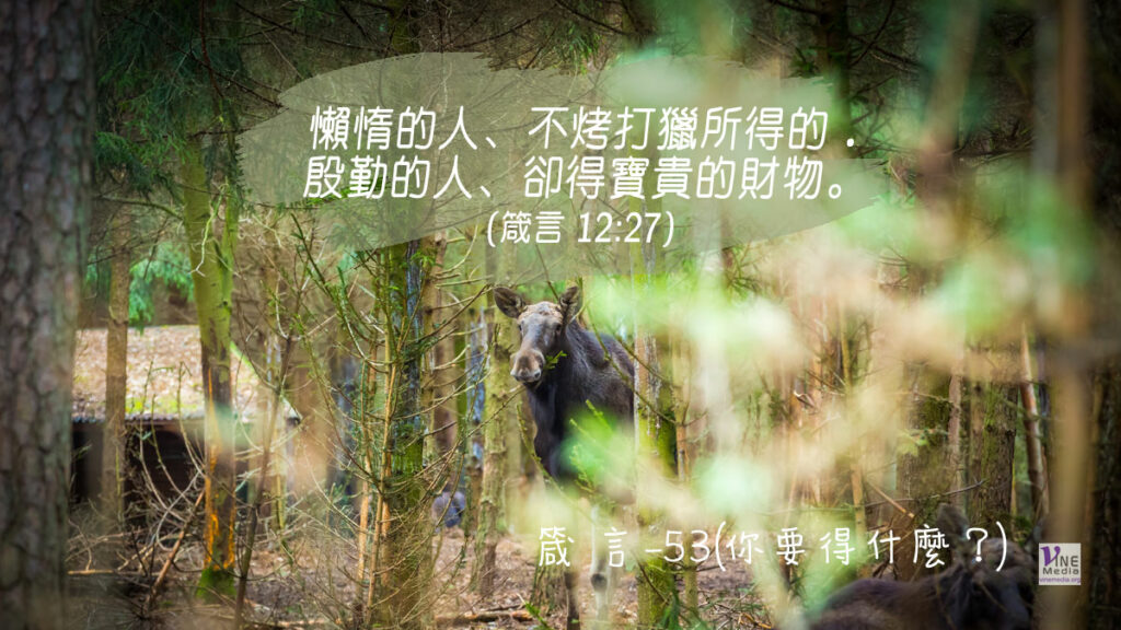 #330 十一月二十五日──箴言-53(你要得什麼？)-第12章27-28節