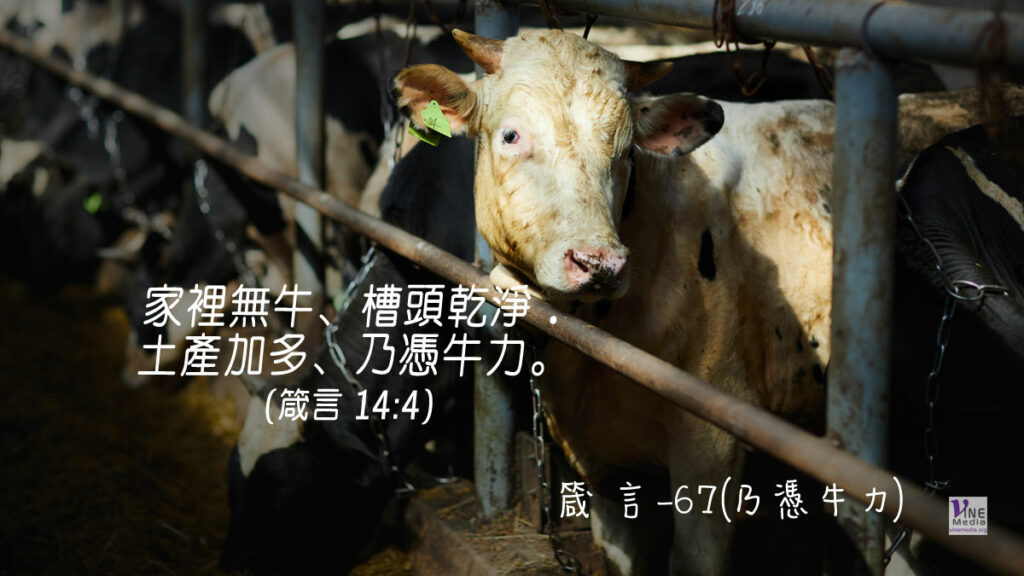 #344 十二月九日──箴言-67(乃憑牛力)-第14章4節