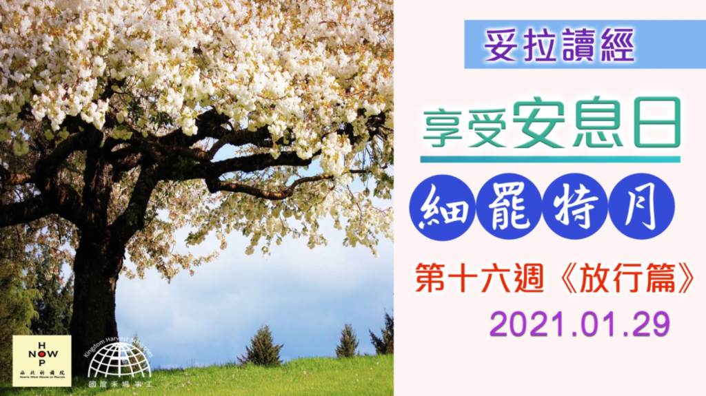 第16週妥拉讀經分享: 《放行篇》| 西北祈禱院 NWHOP | 國度禾場事工 KHM