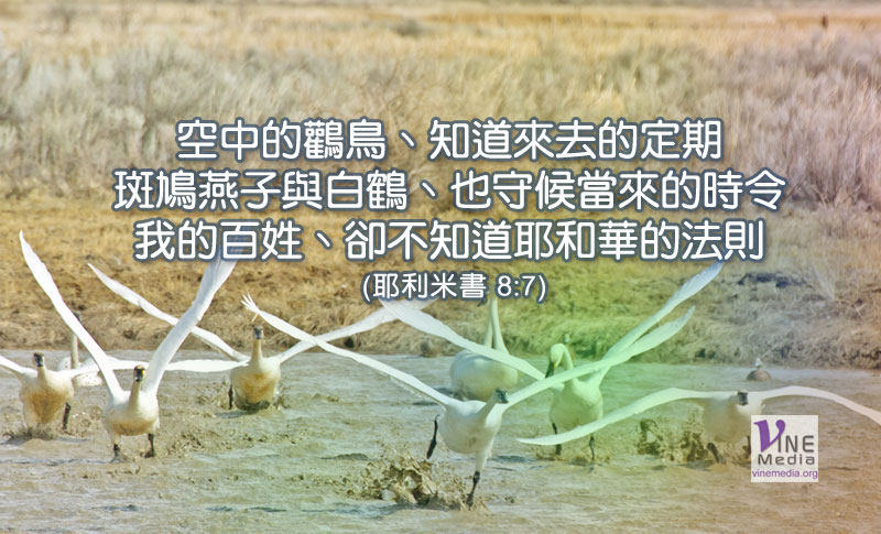 #60 二月二十九日──你知道麼？