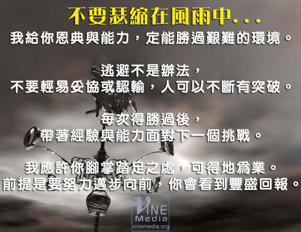 #9 不要瑟縮在風雨中…