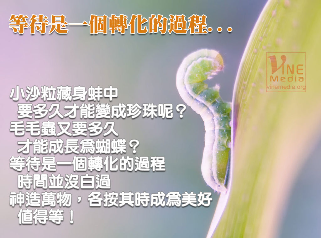 #61 等待是一個轉化的過程…