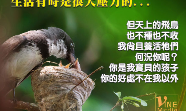 life is full of pressure