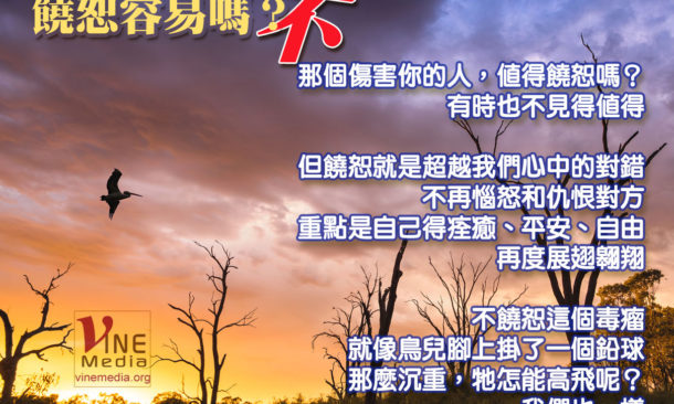 Is it easy to forgive