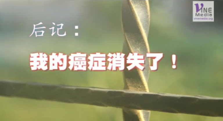 wangyufook
