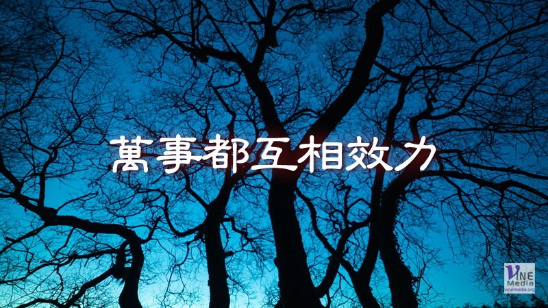 （分享）萬事都互相效力
