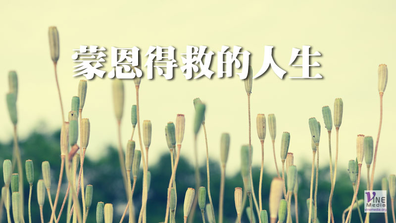 （分享）蒙恩得救的人生