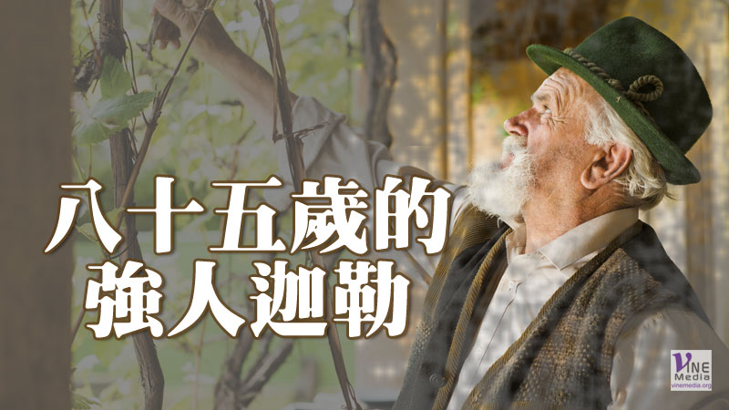 （舊約人物）八十五歲的強人迦勒