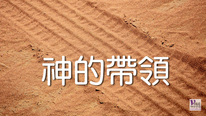 （見證）神的帶領