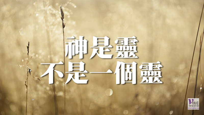 （原文解經）神是靈，不是一個靈