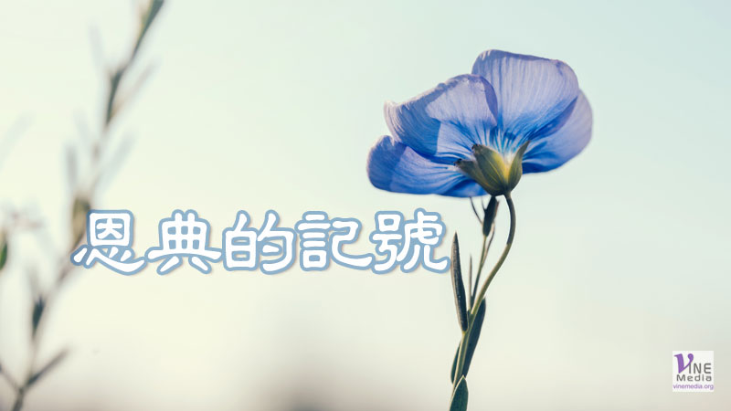 （分享）恩典的記號