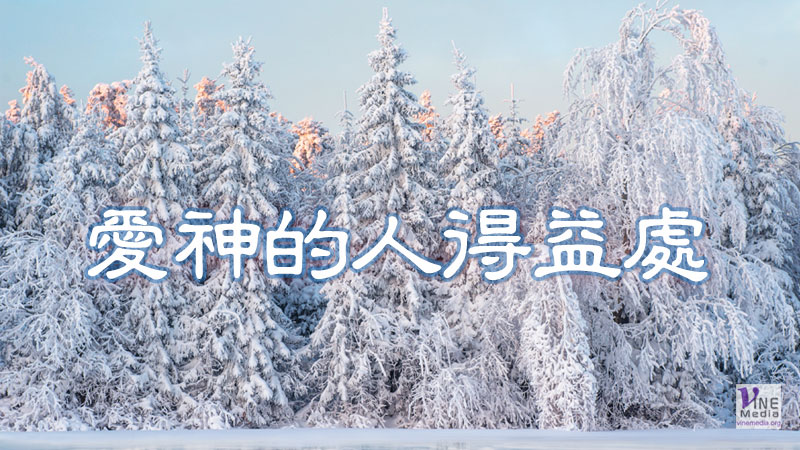 （分享）愛神的人得益處