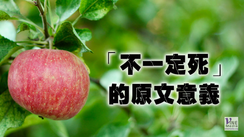 （舊約原文解經）「不一定死」的原文意義