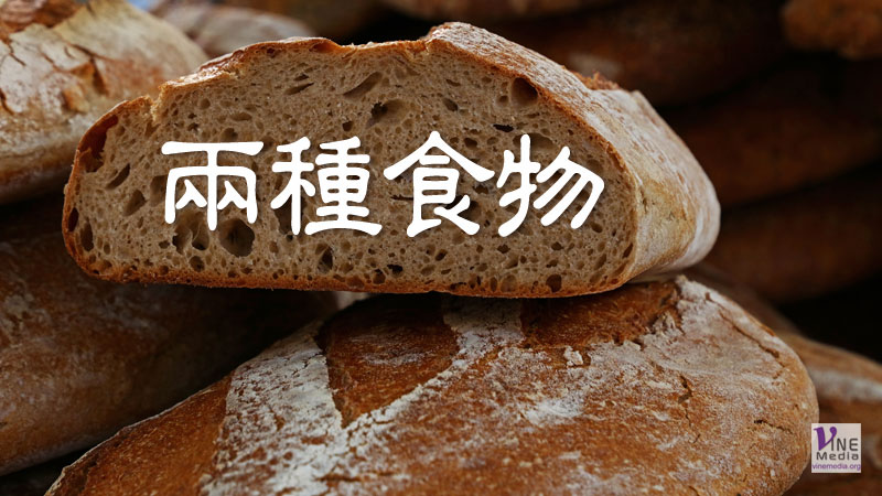 （原文解經）兩種食物