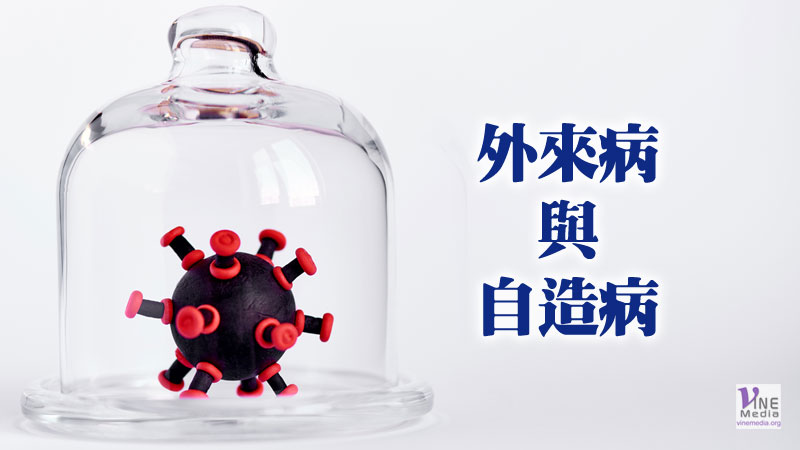 （原文解經）外來病與自造病