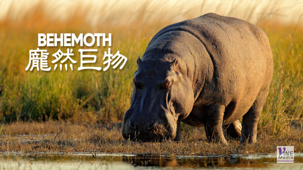 （源於聖經的諺語）龐然巨物BEHEMOTH