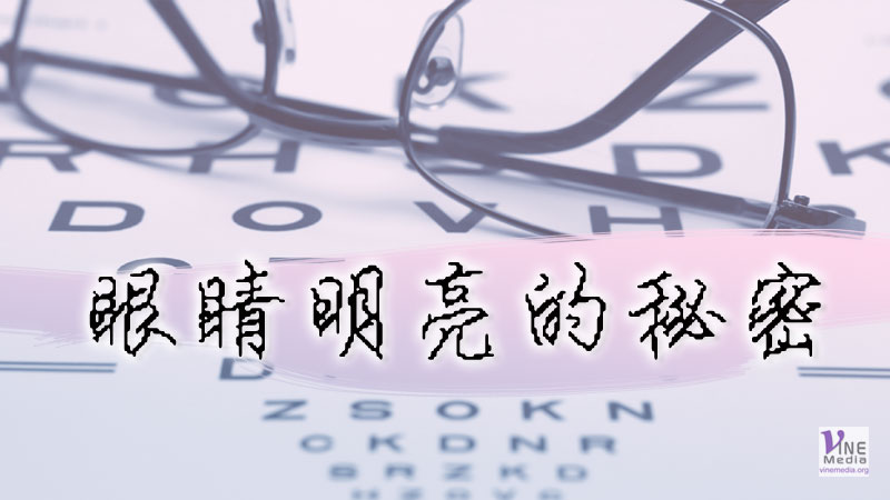 （舊約原文解經）眼睛明亮的秘密