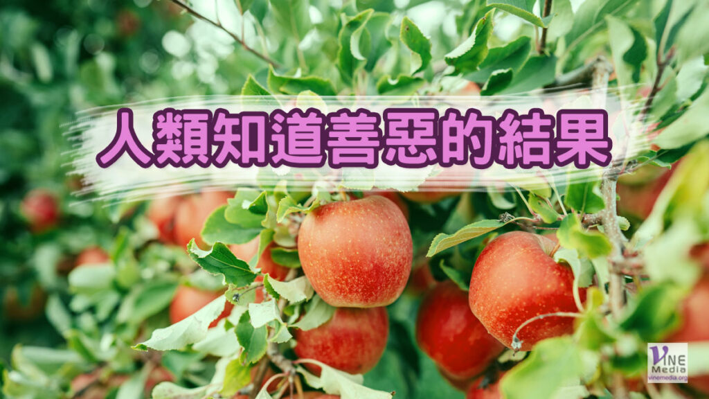 （舊約原文解經）人類知道善惡的結果