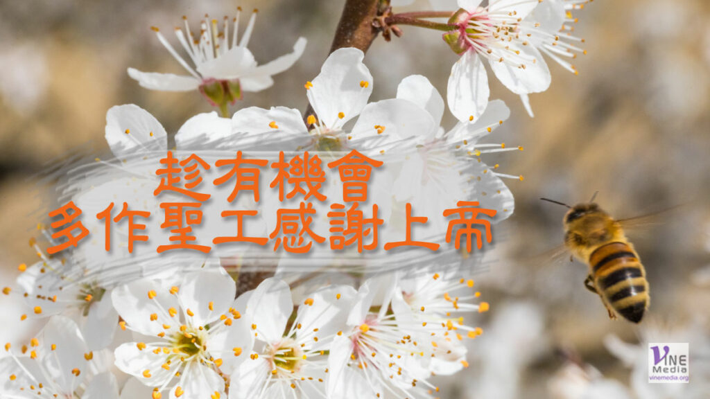 （信息）趁有機會多作聖工感謝上帝