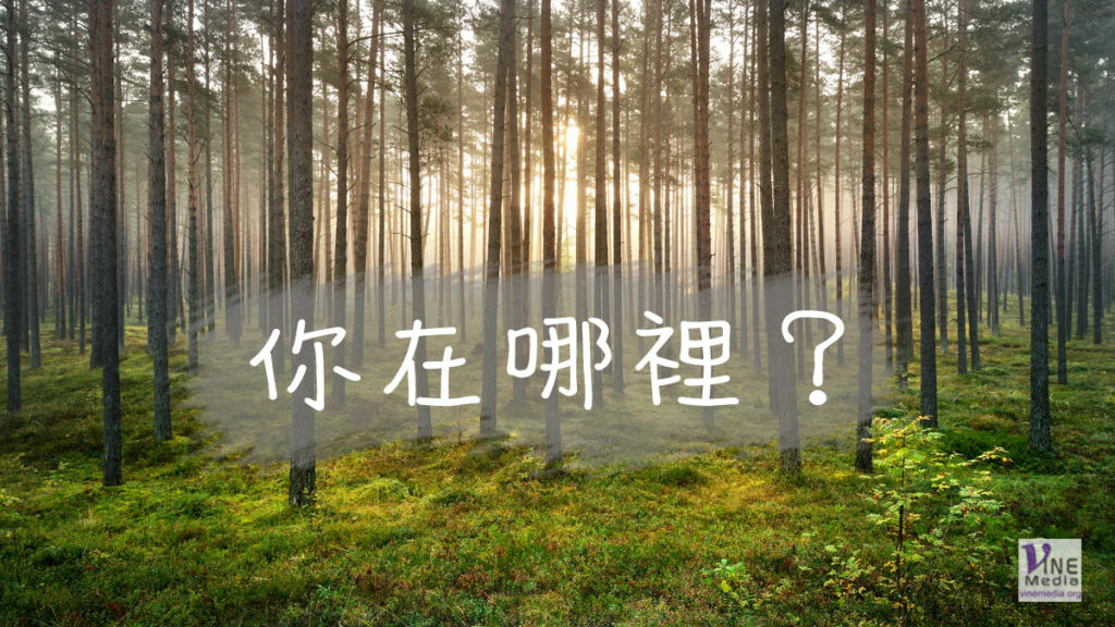 （信息）你在哪裡？
