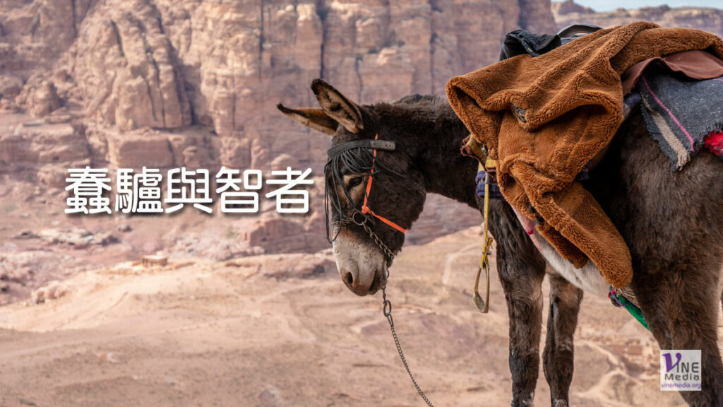 （信息）蠢驢與智者
