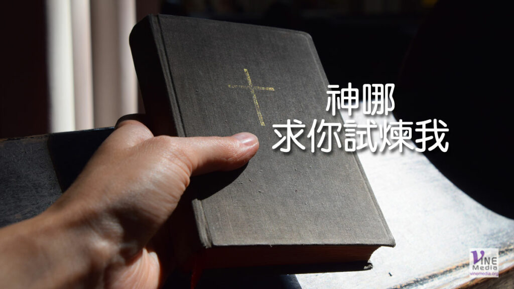 （分享）神哪，求祢試煉我