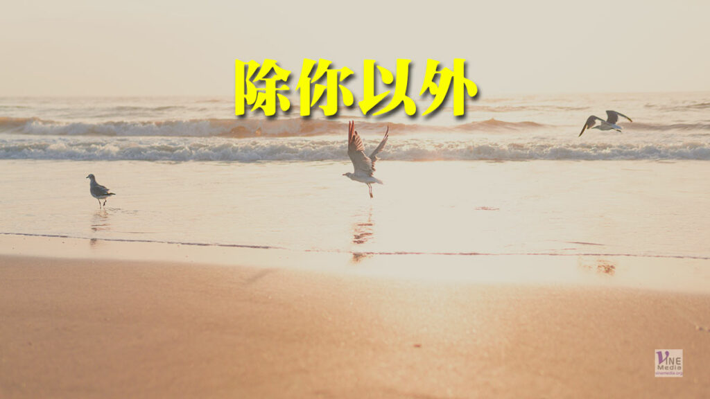 （信息）除你以外