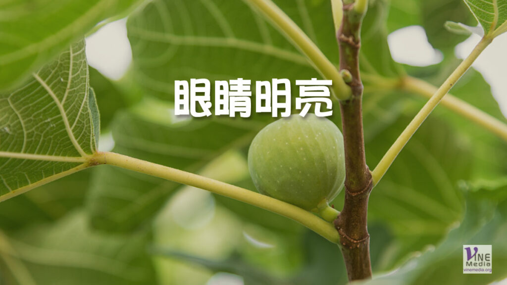 （舊約原文解經）眼睛明亮