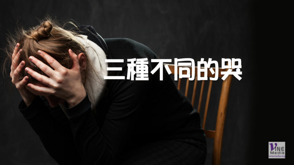 （原文解經）三種不同的哭
