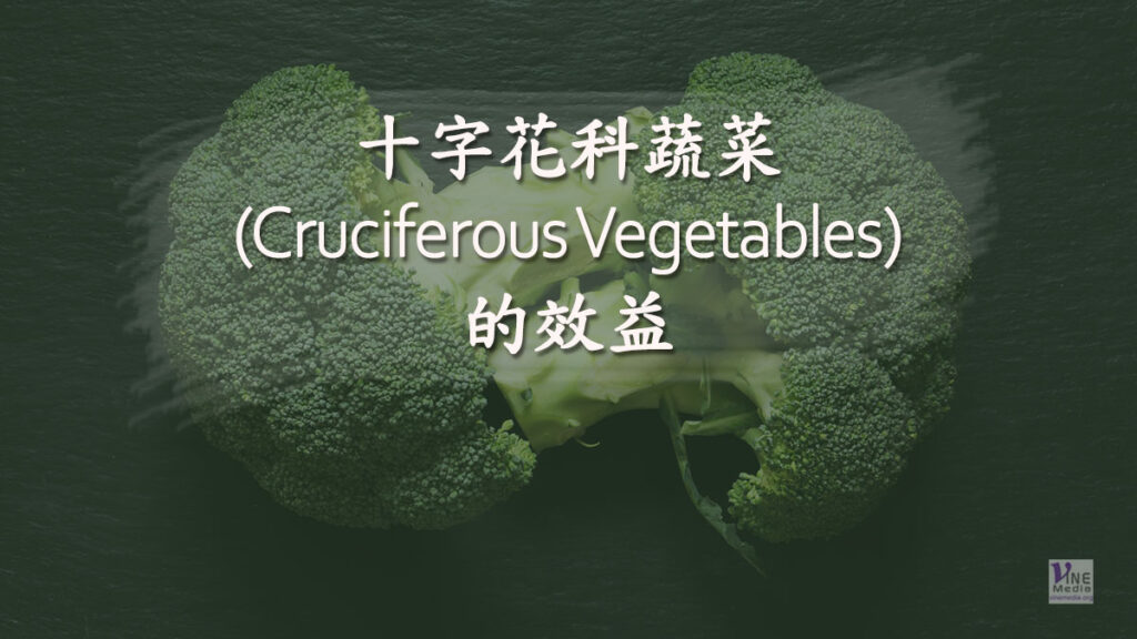 （奇妙的創造）十字花科蔬菜(Cruciferous Vegetables)的效益