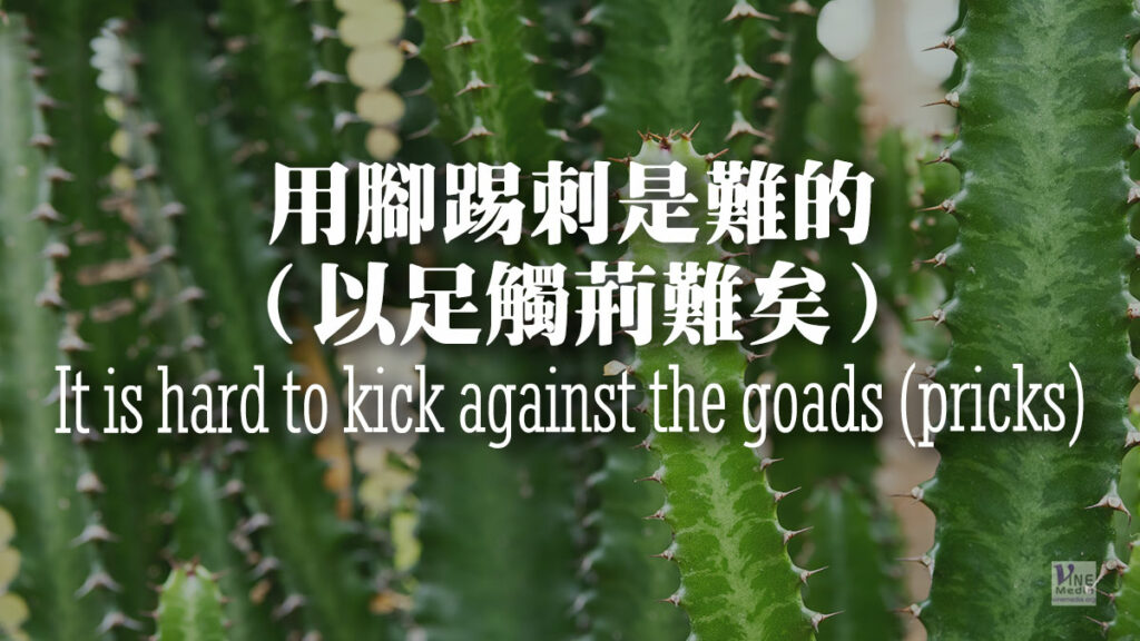 （源於聖經的諺語）用腳踢刺是難的（以足觸荊難矣）It is hard to kick against the goads (pricks)