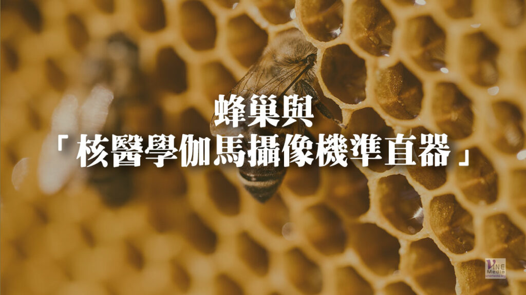 （奇妙的創造）蜂巢與「核醫學伽馬攝像機準直器」