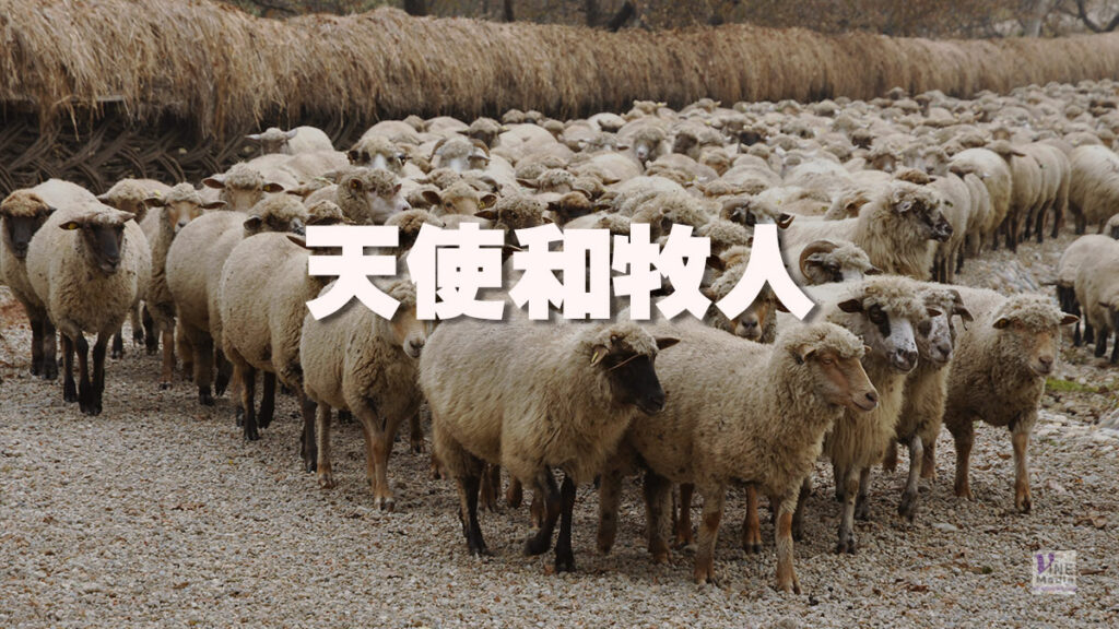 （耶穌生平）天使和牧人