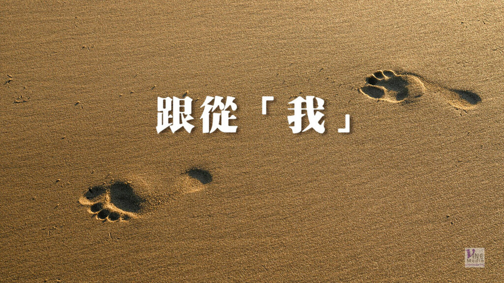 （信息）跟從「我」
