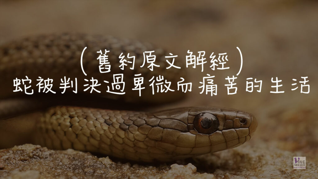 （舊約原文解經）蛇被判決過卑微而痛苦的生活