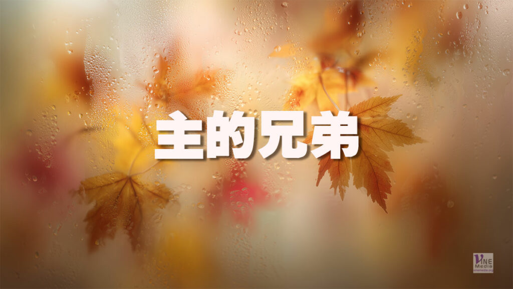 （耶穌生平）主的兄弟