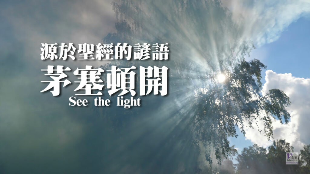（源於聖經的諺語）茅塞頓開See the light
