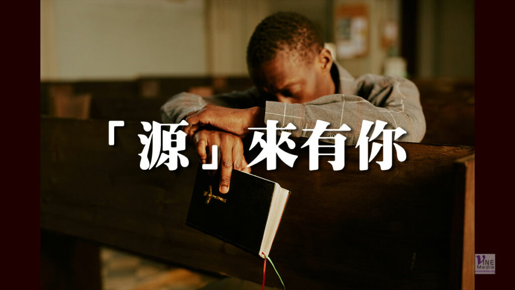 （信息）「源」來有你