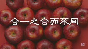 （信息）合一之合而不同