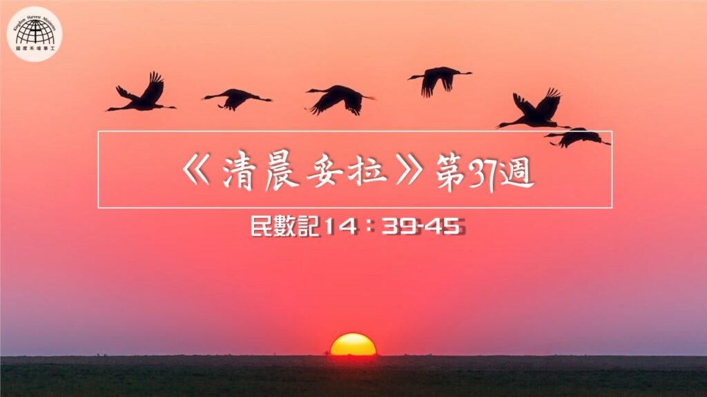 《清晨妥拉》第37週 (七) | 民數記14：39-45