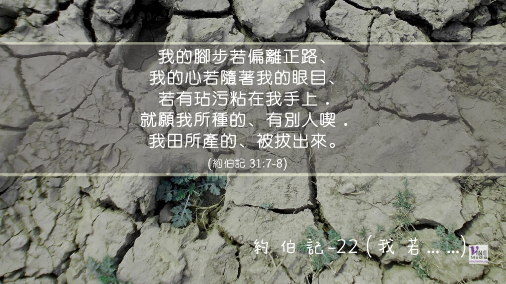 #225 八月十二日──約伯記-22 (我若⋯⋯)-第31章